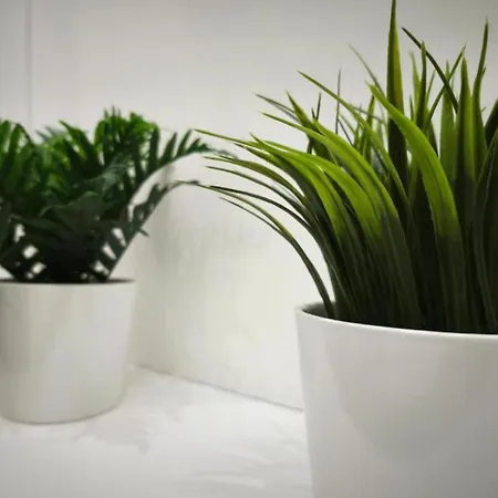 Apartament L'international 122 - Hypercentre - Proche Parc & Thermes *