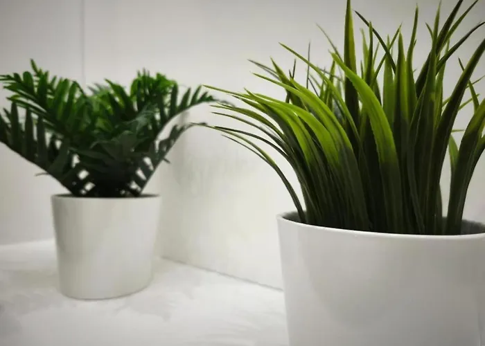 Daire L'international 122 - Hypercentre - Proche Parc & Thermes *